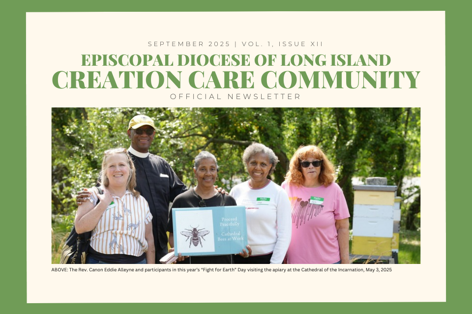 Creation Care Community Newsletter - September 2025