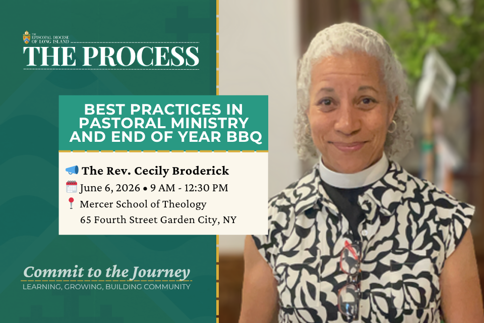 Best Practices in Pastoral Ministry  and end of year BBQ