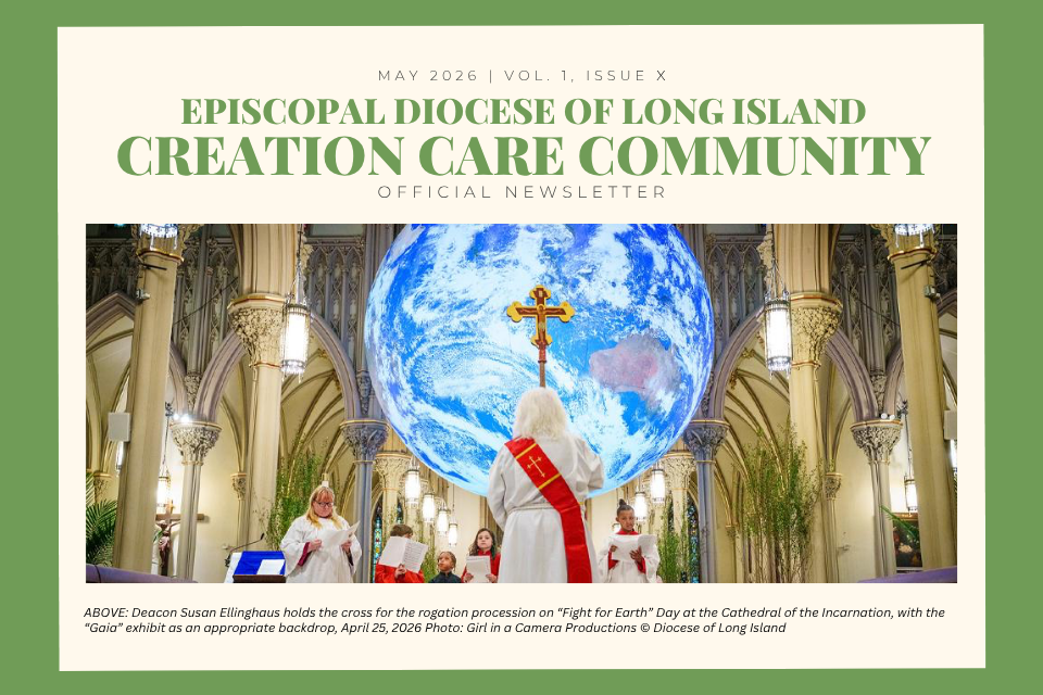 Creation Care Newsletter - May 2026