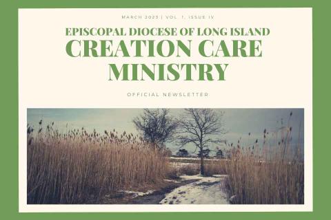 Creation Care Newsletter Issue 4