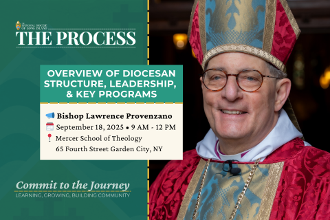 The Process - Overview of Diocesan Structure