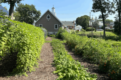 The Garden at St. Francis, Bellmore