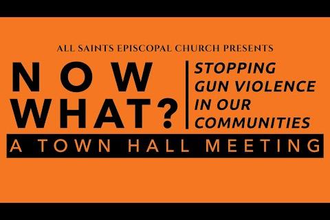 Now What? – Stopping Gun Violence in Our Communities – A Town Hall Meeting